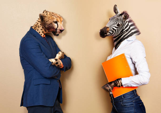 istock Boss and worker allegory with cheetah versus zebra 1135295715