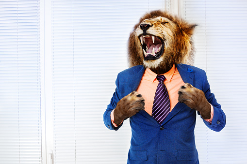 Furious angry man with head of lion roar wearing formal suit in the office