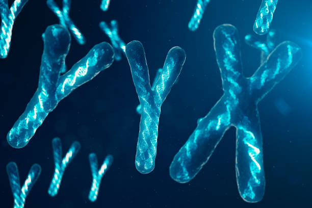 istock YYX-Chromosomes with DNA carrying the genetic code. Genetics concept, medicine concept. Future, genetic mutations. Changing the genetic code at the biological level. 3D illustration 1135297529