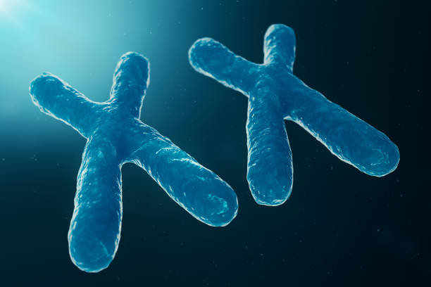 istock XX-Chromosomes with DNA carrying the genetic code. Genetics concept, medicine concept. Future, genetic mutations. Changing the genetic code at the biological level, 3D illustration 1135297531