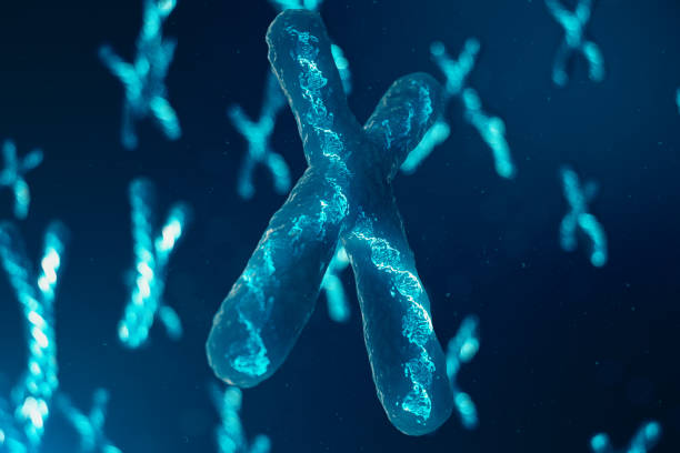 istock X-Chromosomes with DNA carrying the genetic code. Genetics concept, medicine concept. Future, genetic mutations. Changing the genetic code at the biological level. 3D illustration 1135297532