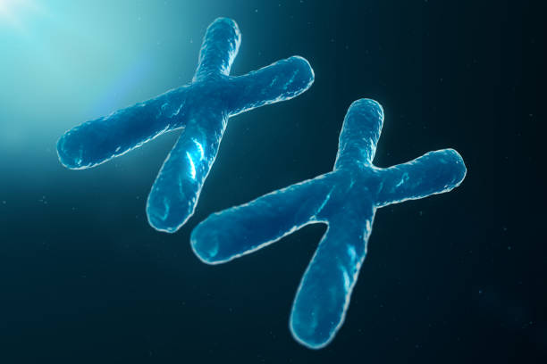istock XX-Chromosomes with DNA carrying the genetic code. Genetics concept, medicine concept. Future, genetic mutations. Changing the genetic code at the biological level, 3D illustration 1135297536