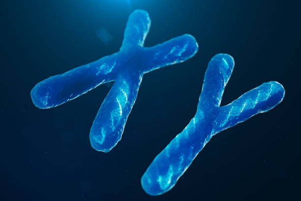 istock XY-Chromosomes with DNA carrying the genetic code. Genetics concept, medicine concept. Future, genetic mutations. Changing the genetic code at the biological level. 3D illustration 1135297653