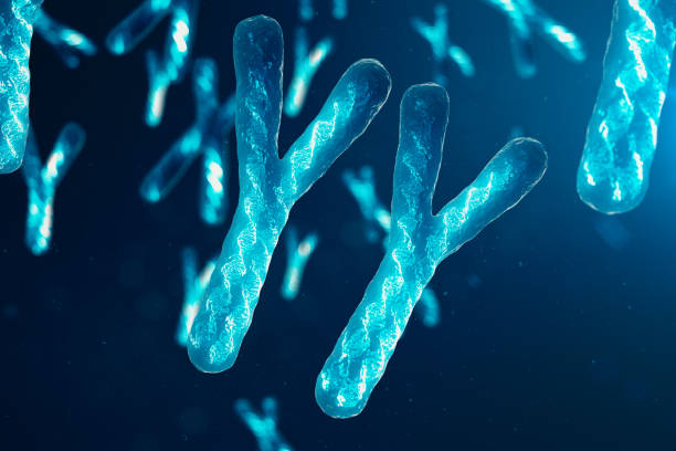 istock YY-Chromosomes with DNA carrying the genetic code. Genetics concept, medicine concept. Future, genetic mutations. Changing the genetic code at the biological level. 3D illustration 1135297655