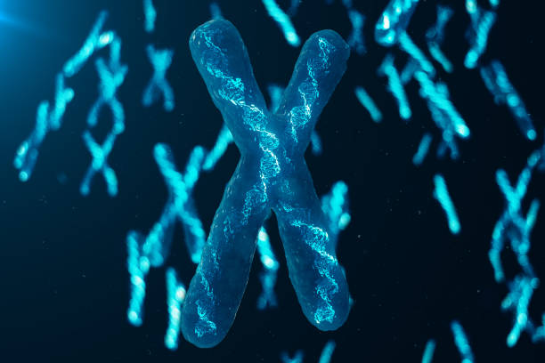 istock X-Chromosomes with DNA carrying the genetic code. Genetics concept, medicine concept. Future, genetic mutations. Changing the genetic code at the biological level. 3D illustration 1135297809