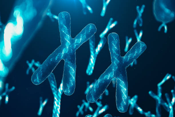 istock XX-Chromosomes with DNA carrying the genetic code. Genetics concept, medicine concept. Future, genetic mutations. Changing the genetic code at the biological level. 3D illustration 1135298861