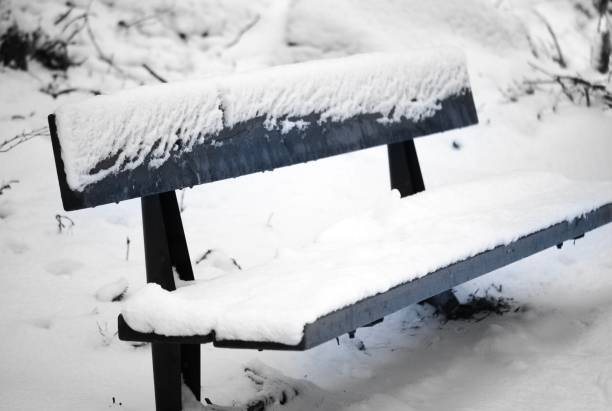 istock Winter Bench in the woods 1135298915