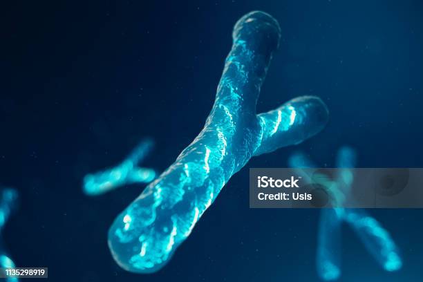 Ychromosomes With Dna Carrying The Genetic Code Genetics Concept Medicine  Concept Future Genetic Mutations Changing The Genetic Code At The  Biological Level 3d Illustration Stock Photo - Download Image Now - iStock