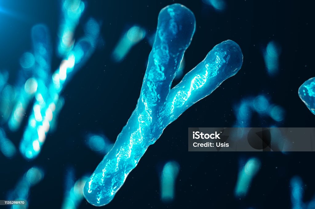 Ychromosomes With Dna Carrying The Genetic Code Genetics Concept Medicine  Concept Future Genetic Mutations Changing The Genetic Code At The  Biological Level 3d Illustration Stock Photo - Download Image Now - iStock