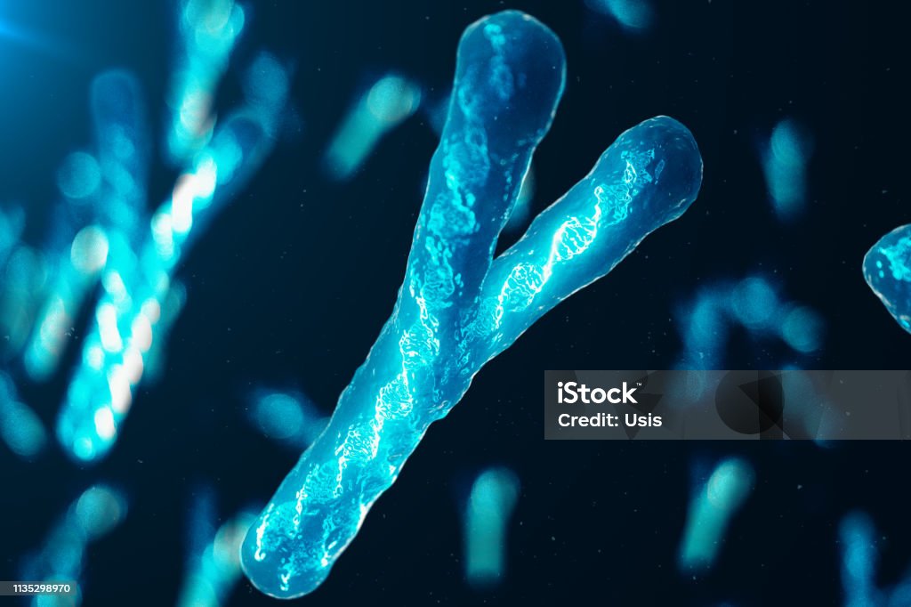 Ychromosomes With Dna Carrying The Genetic Code Genetics Concept Medicine Concept Future Genetic Mutations Changing The Genetic Code At The Biological Level 3d Illustration Stock Photo - Download Image Now - iStock Ychromosomes With Dna Carrying The Genetic Code Genetics Concept Medicine Concept Future Genetic Mutations Changing The Genetic Code At The Biological Level 3d Illustration Stock Photo - Download Image Now - iStock