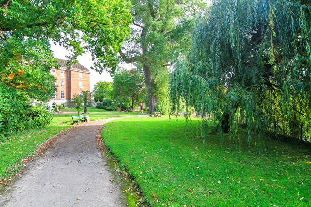 istock Walkway between grassy lawn in England 1135299432