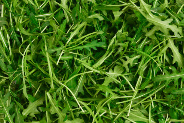 istock Fresh leaves of arugula as background. 1135302836