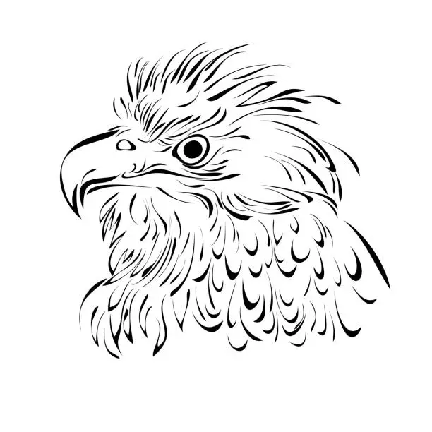 Vector illustration of bird 2