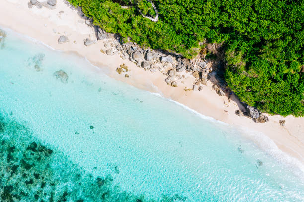 istock Bali - beach from above. Straight drone shot 1135304183