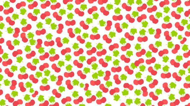 illustrations, cliparts, dessins animés et icônes de nourriture/fruits motif abstrait fond - anise seed fennel backgrounds