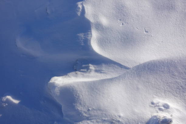 istock Winter background. Light and shadow on snowdrifts. Abstract background 1135314747