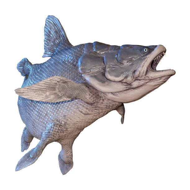 istock 3D illustration Mawsonia fish on white 1135316279
