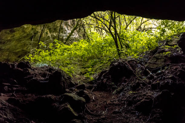 istock Entrance of limestone cave 1135317816