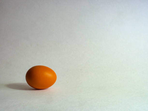 istock Eggs of brown color prepare for Easter on a light background 1135319536
