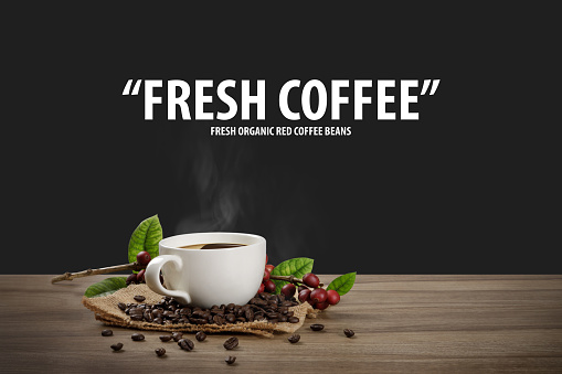 Hot coffee cup with fresh organic red coffee beans and coffee roasts on the wooden table and the black background with copy space for your text.