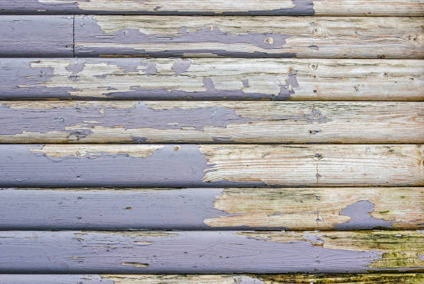 Peeling purplish blue paint on the old wooden planks of the facade of a house in Iceland