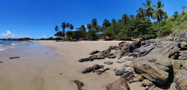 istock Tropical landscape - Beach with rocks and coconut trees 1135320628
