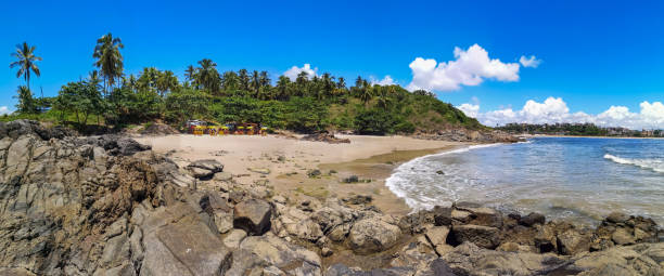 istock Tropical landscape - Beach with rocks and coconut trees 1135321068