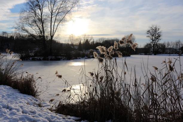 istock Lake of the mole winter 2017 1135323034
