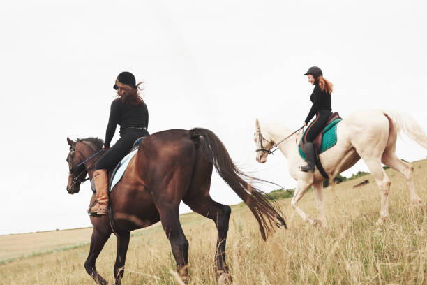 deux jeunes jolies filles chevauchant un cheval sur un terrain. ils aiment les animaux et l'équitation - bride women standing beauty in nature photos et images de collection