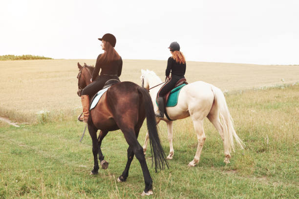 deux jeunes jolies filles chevauchant un cheval sur un terrain. ils aiment les animaux et l'équitation - bride women standing beauty in nature photos et images de collection