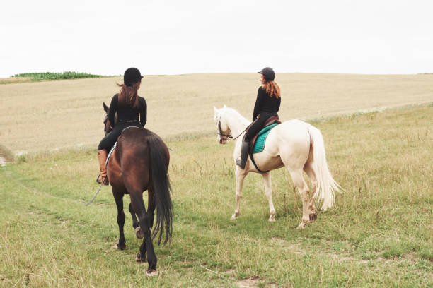 deux jeunes jolies filles chevauchant un cheval sur un terrain. ils aiment les animaux et l'équitation - bride women standing beauty in nature photos et images de collection