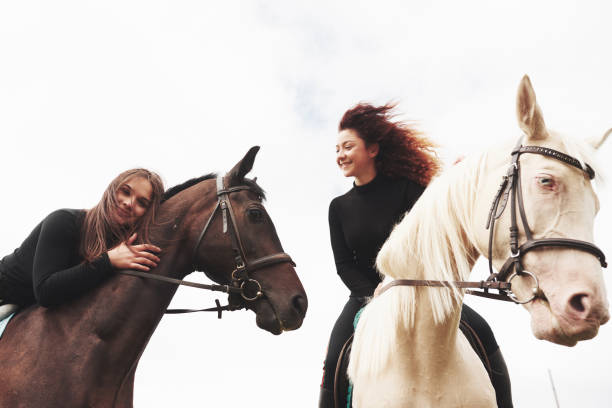 deux jeunes jolies filles chevauchant un cheval sur un terrain. ils aiment les animaux et l'équitation - bride women standing beauty in nature photos et images de collection