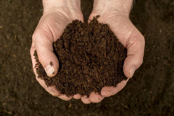 Compost Compost - natural fertilizer in the hand earth in hands stock pictures, royalty-free photos & images