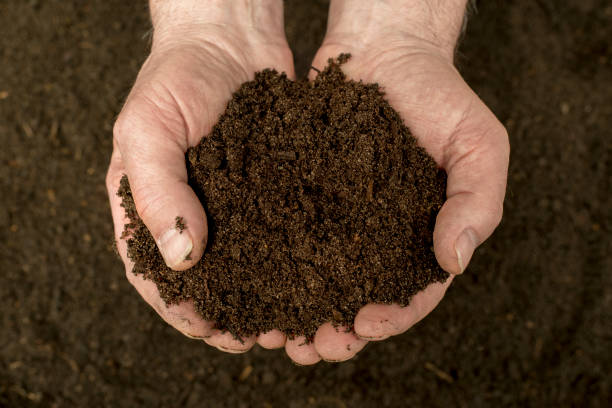 compost - garden soil imagens e fotografias de stock