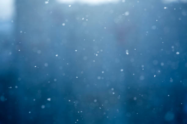 istock Winter scene - snowfall on the blurred background 1135327381