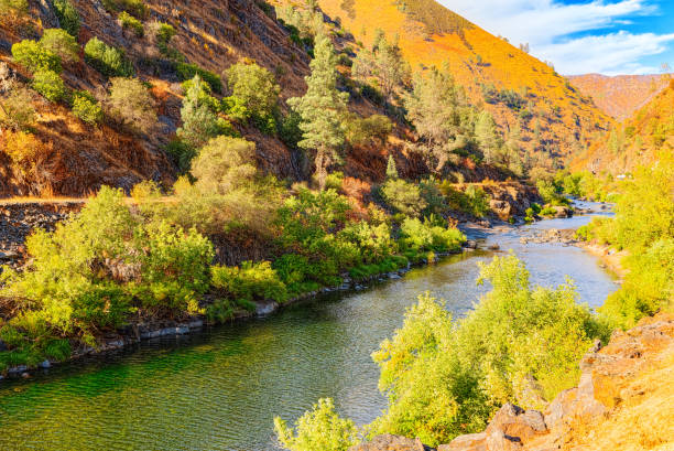 istock Magnificent national American natural park - Yosemite. 1135327626
