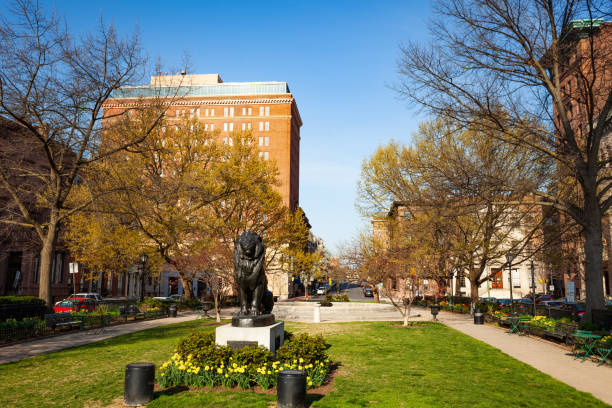 istock Bronze Seated Lion sculpture in Baltimore, USA 1135327690