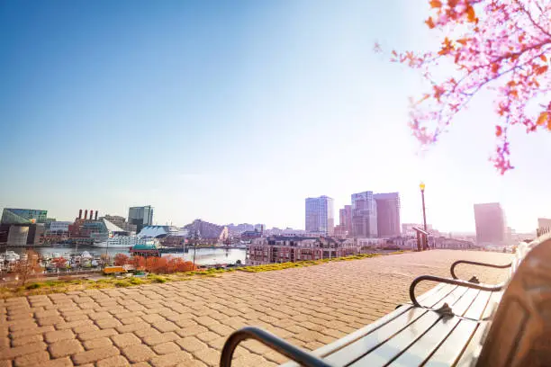 Photo of Inner Harbor at sunny day, Baltimore, MD, USA