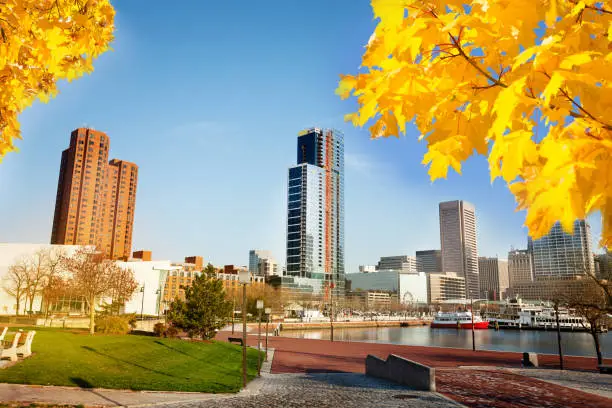 Photo of Scenic view of Baltimore Inner Harbor in autumn