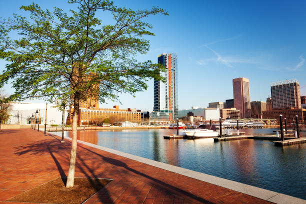 istock Beautiful view of Baltimore Inner Harbor skyline 1135327728