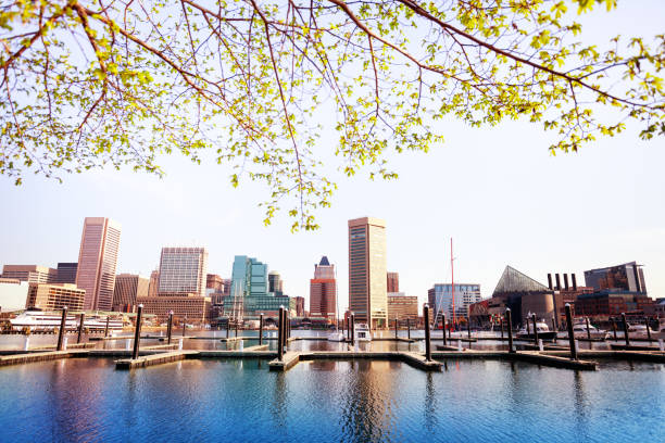 istock Inner Harbor and Baltimore skyline, in spring, USA 1135327733