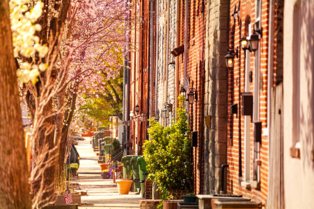 istock Baltimore streets with brick houses in spring, USA 1135327750