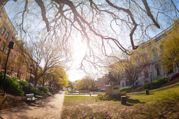 istock East Garden and George Peabody statue in Baltimore 1135327756