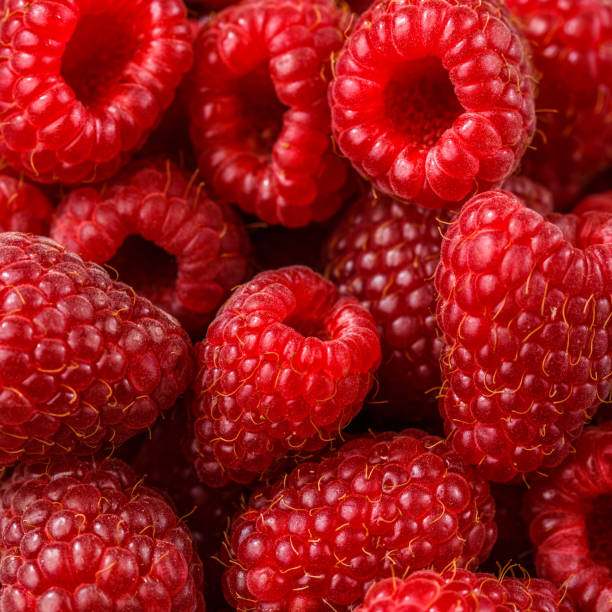 istock Close up photo of fresh raspberry 1135332715