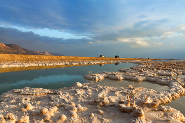 死海の水における鉱物塩の結晶形成地平線に山がある海岸線 - travel israel day crystal ストックフォトと画像