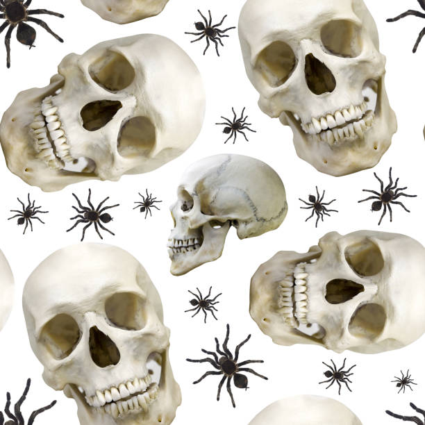 Pretty women giving you  a  skull  on Halloween holidays