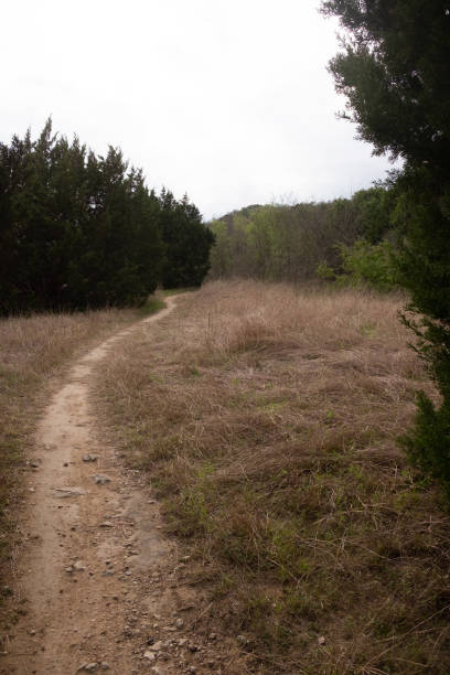 istock Hiking along the Greenbelt 1135335951