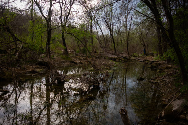 istock Hiking along the Greenbelt 1135335982