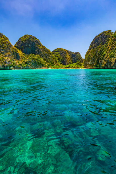 Maya Bay is temporarily closed but still beautiful Maya Bay is one of the most famous beaches on Phi Phi Lay. But today there is no tourists on the beach because it needs to be temporarily closed andaman sea stock pictures, royalty-free photos & images