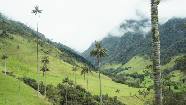 istock Valley of Cocora 1135337584